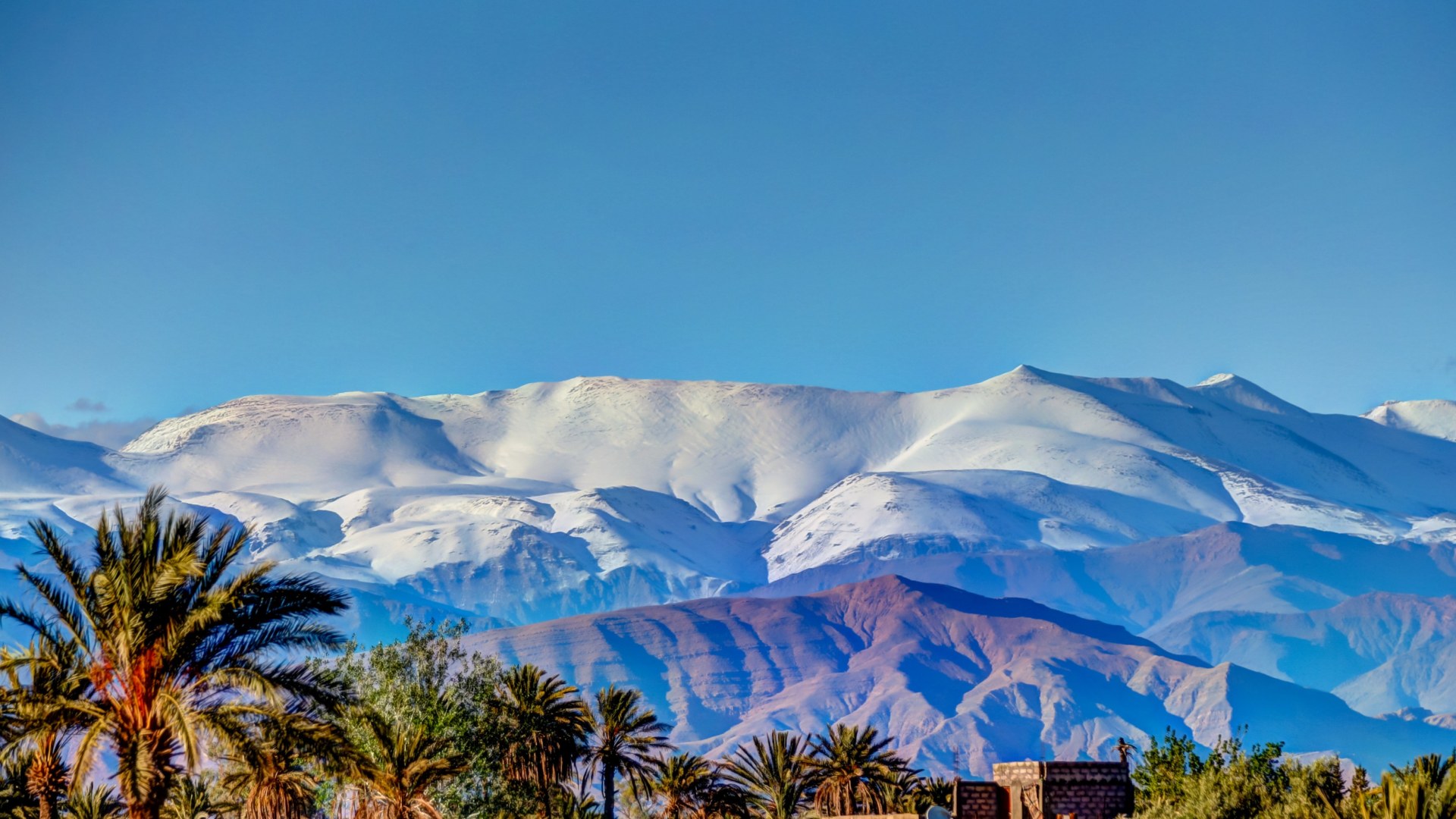 Toubkal, Königstädte & Sahara